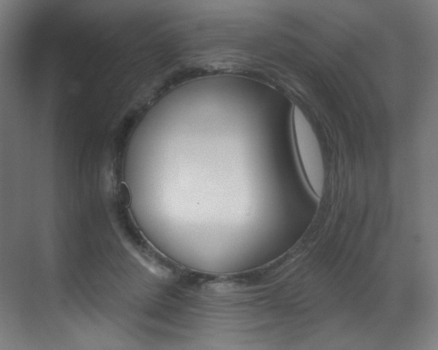 X0000073470408200607281104