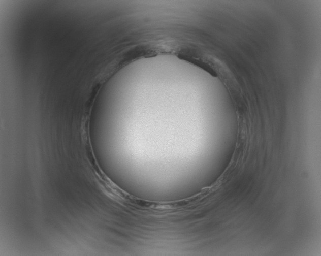 X0000073470409200607281104