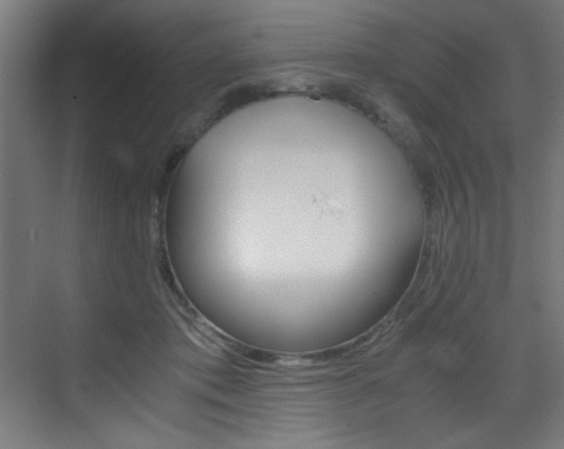 X0000073470413200607281104