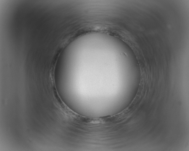 X0000073470415200607281104