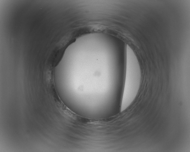 X0000073470417200607281104