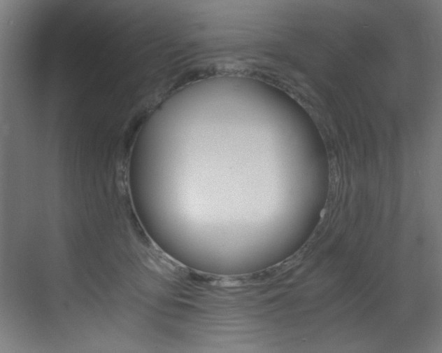 X0000073470419200607281104