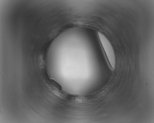 X0000073470420200607281104