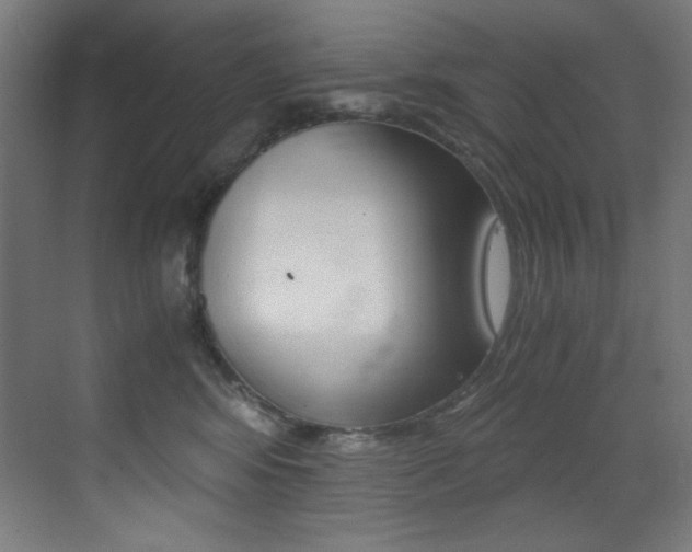 X0000073470424200607281104