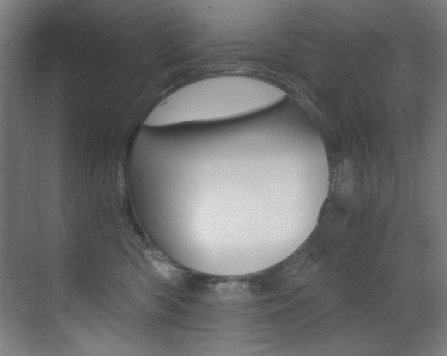 X0000073470426200607281104