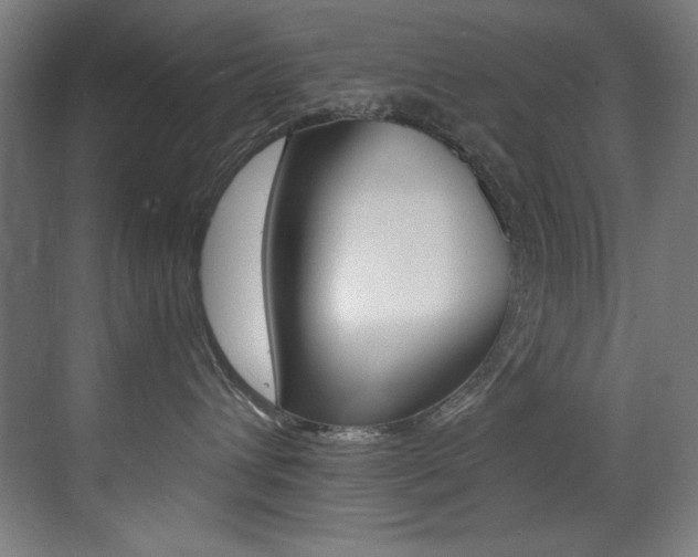 X0000073470432200607281103