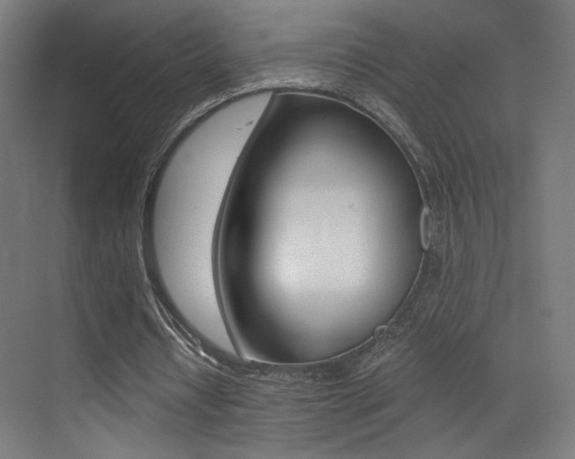 X0000073470434200607281103