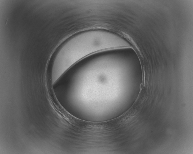 X0000073470435200607281103