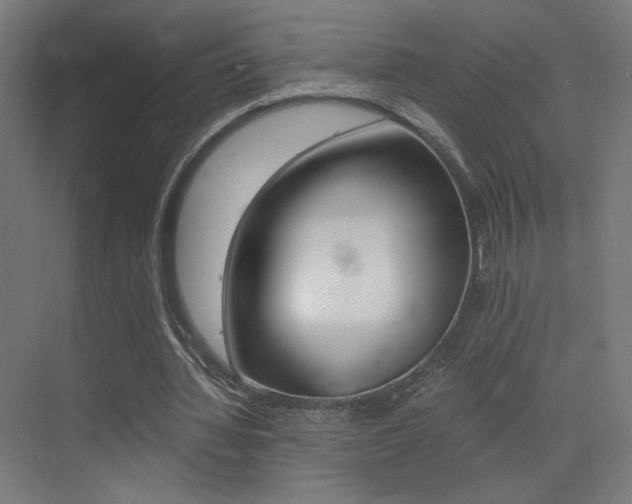 X0000073470436200607281103