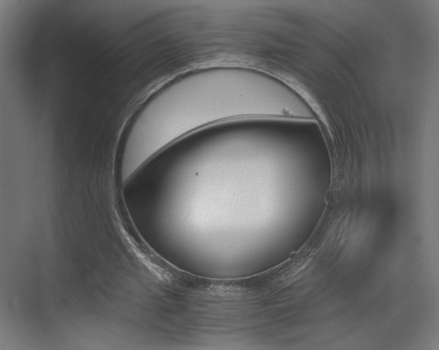 X0000073470437200607281103