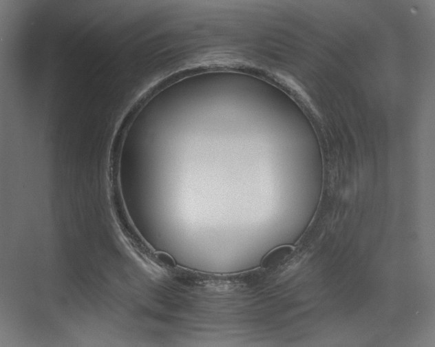 X0000073470439200607281103