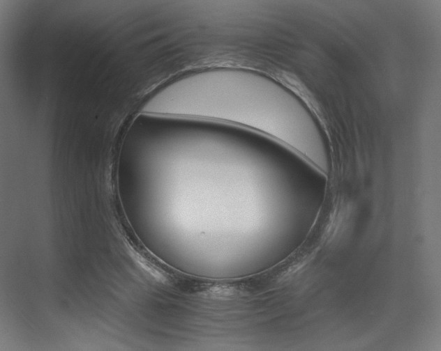 X0000073470441200607281103