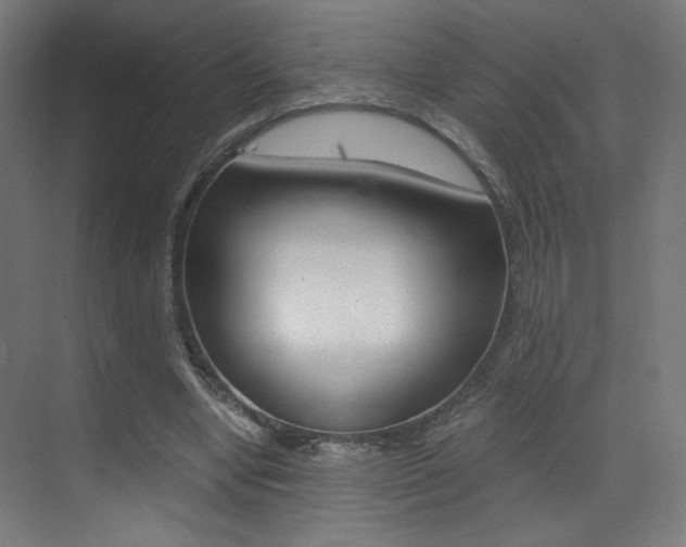 X0000073470442200607281103
