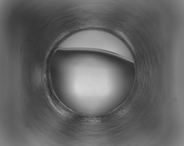 X0000073470443200607281103