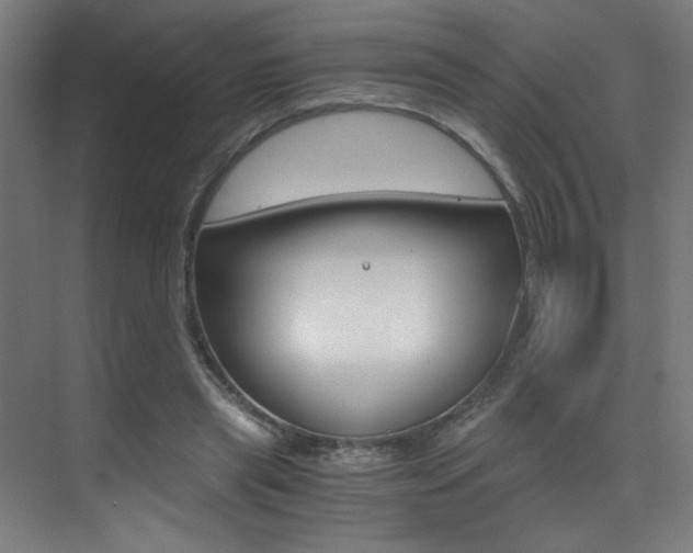 X0000073470445200607281103