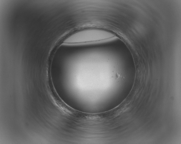 X0000073470446200607281103