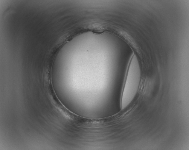 X0000073470449200607281103
