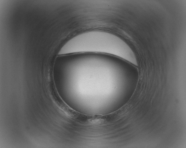 X0000073470452200607281103