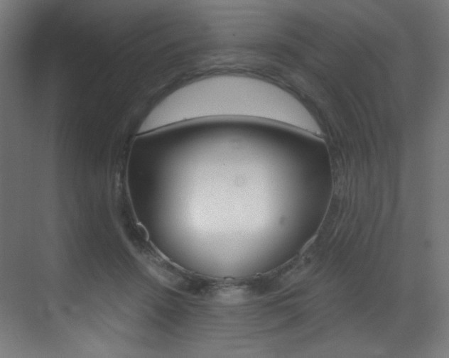 X0000073470456200607281103