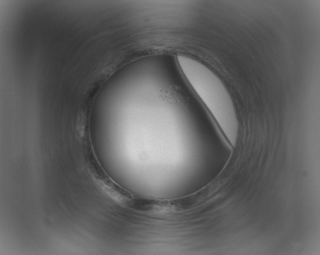 X0000073470458200607281103