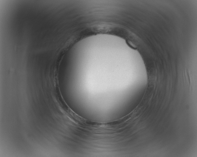 X0000073470460200607281103