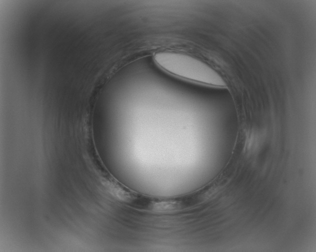 X0000073470461200607281103