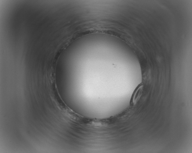 X0000073470464200607281103