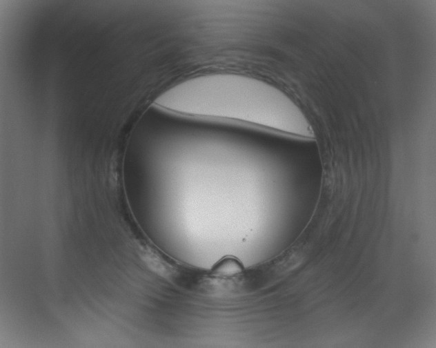 X0000073470466200607281103