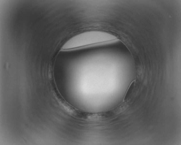 X0000073470470200607281103