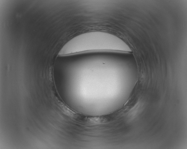 X0000073470473200607281103