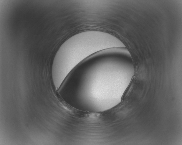 X0000073470474200607281103