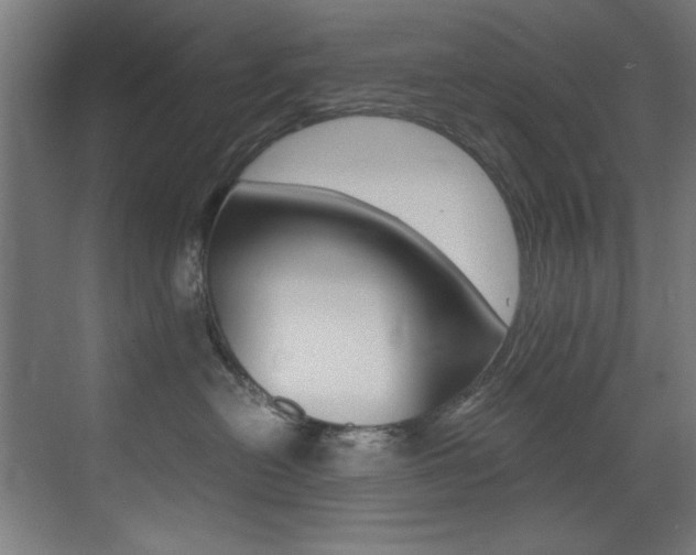X0000073470478200607281103