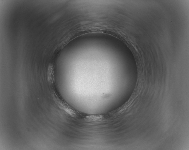 X0000073470480200607281103