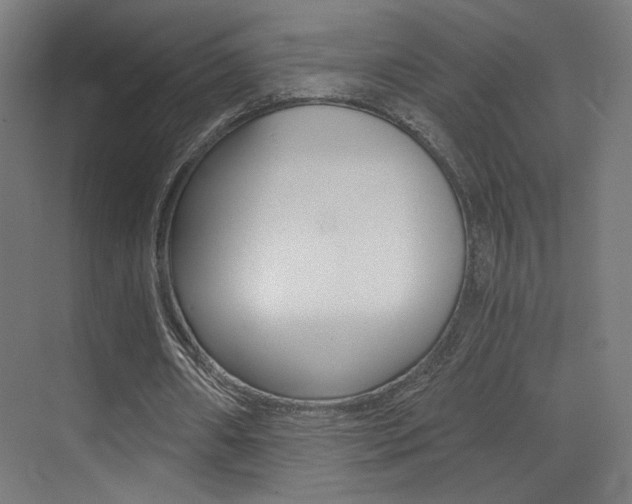 X0000073470482200607281103