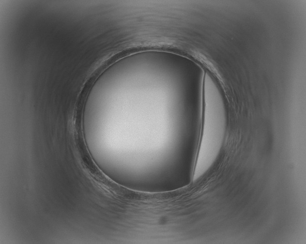 X0000073470483200607281103