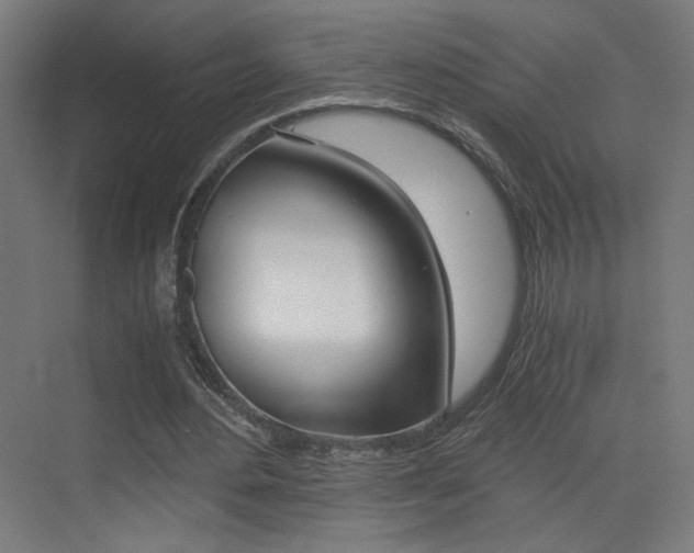 X0000073470484200607281103