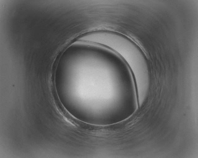 X0000073470485200607281103