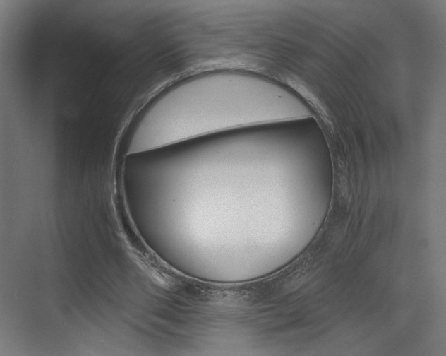 X0000073470486200607281103