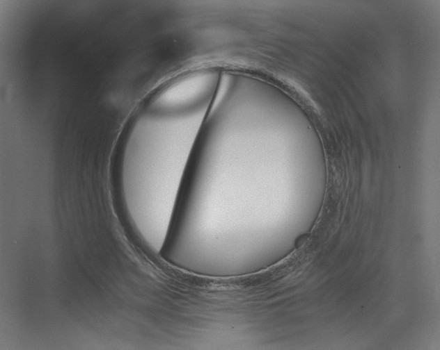 X0000073470487200607281103