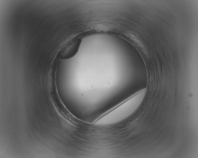 X0000073470492200607281102
