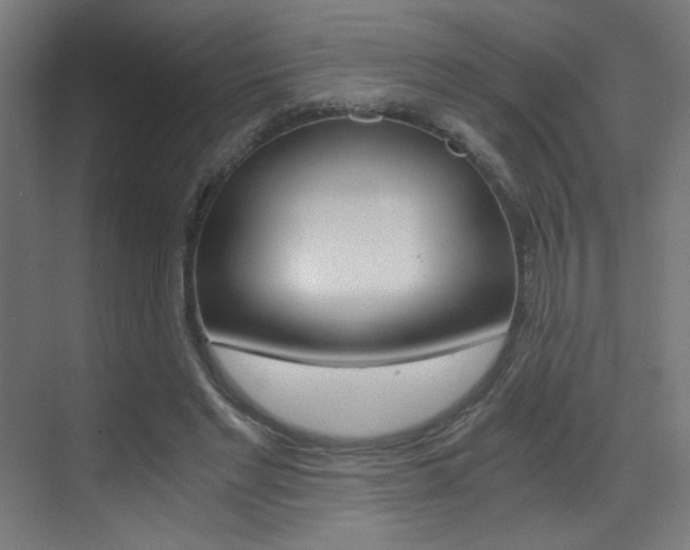 X0000073470493200607281102