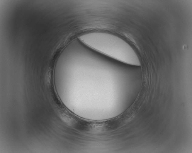 X0000073470495200607281102