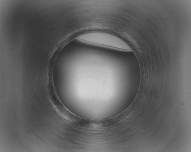 X0000073470496200607281102