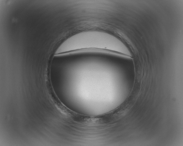 X0000073470497200607281102