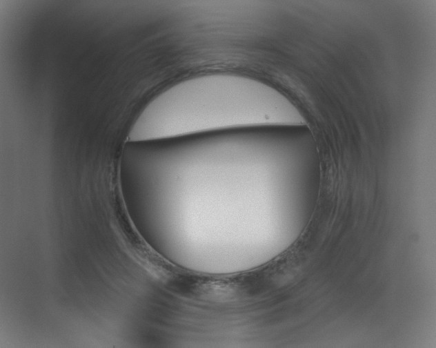 X0000073470498200607281102