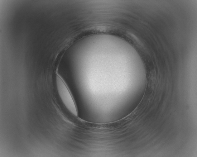 X0000073470500200607281102