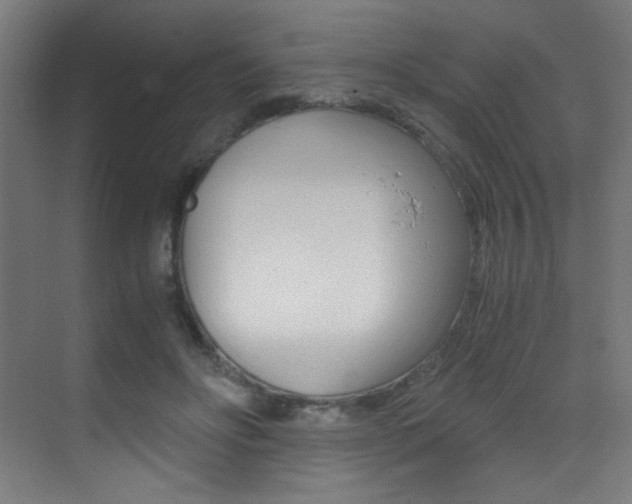 X0000073470502200607281102