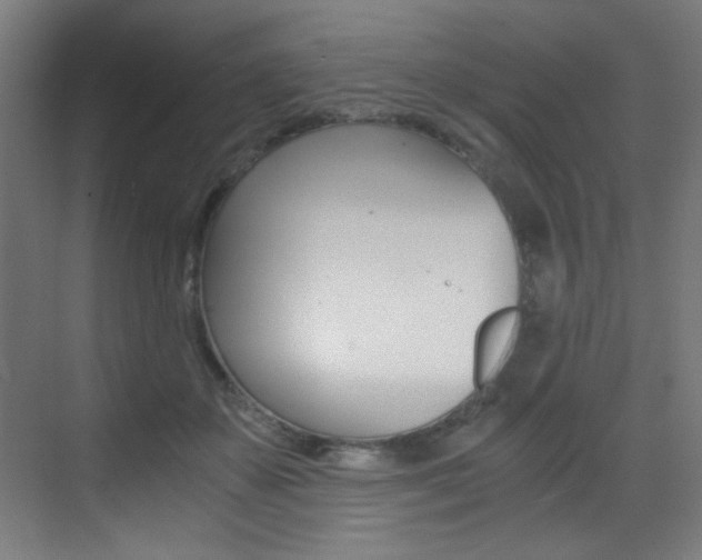 X0000073470507200607281102