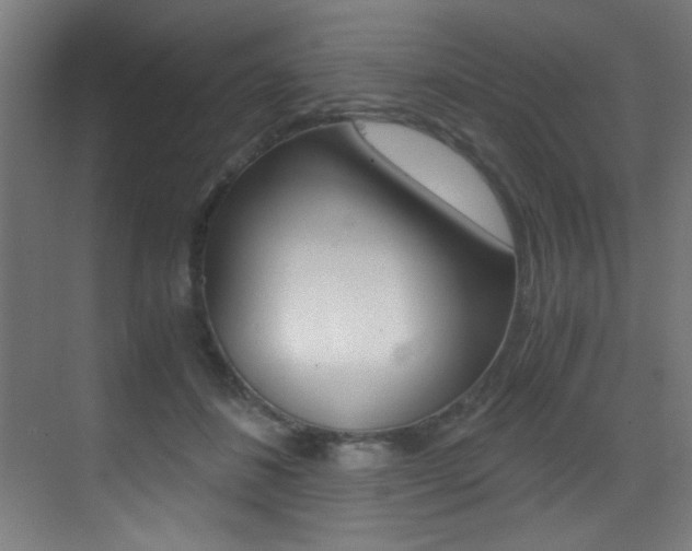 X0000073470508200607281102