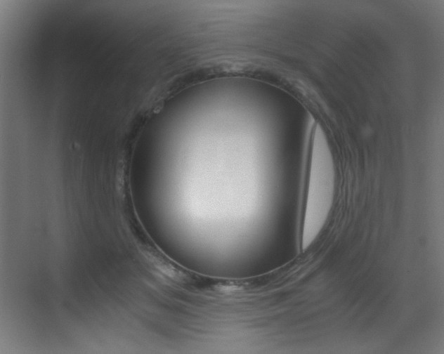 X0000073470509200607281102